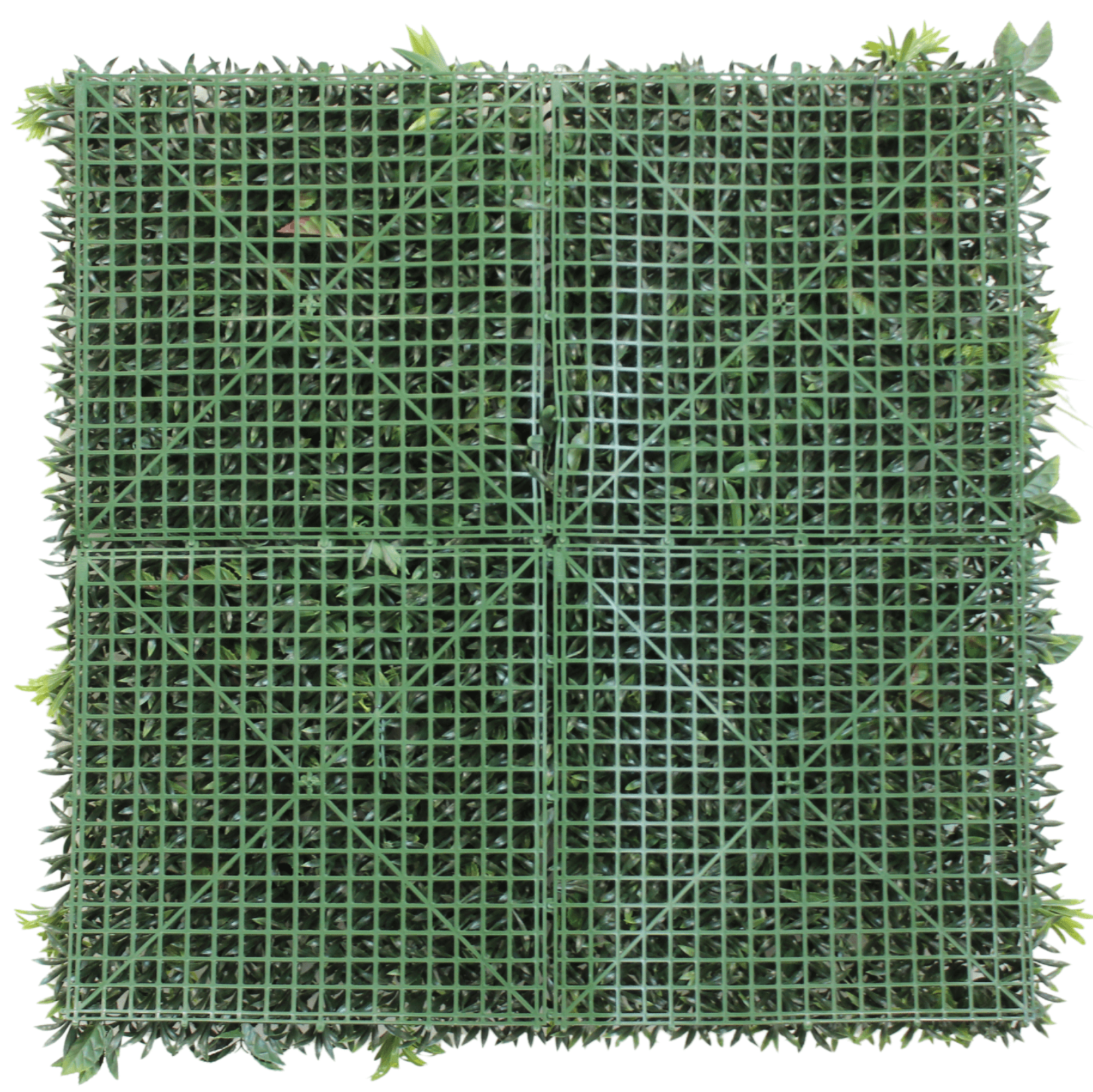 Jardim Vertical TROPICAL 100x100 cm