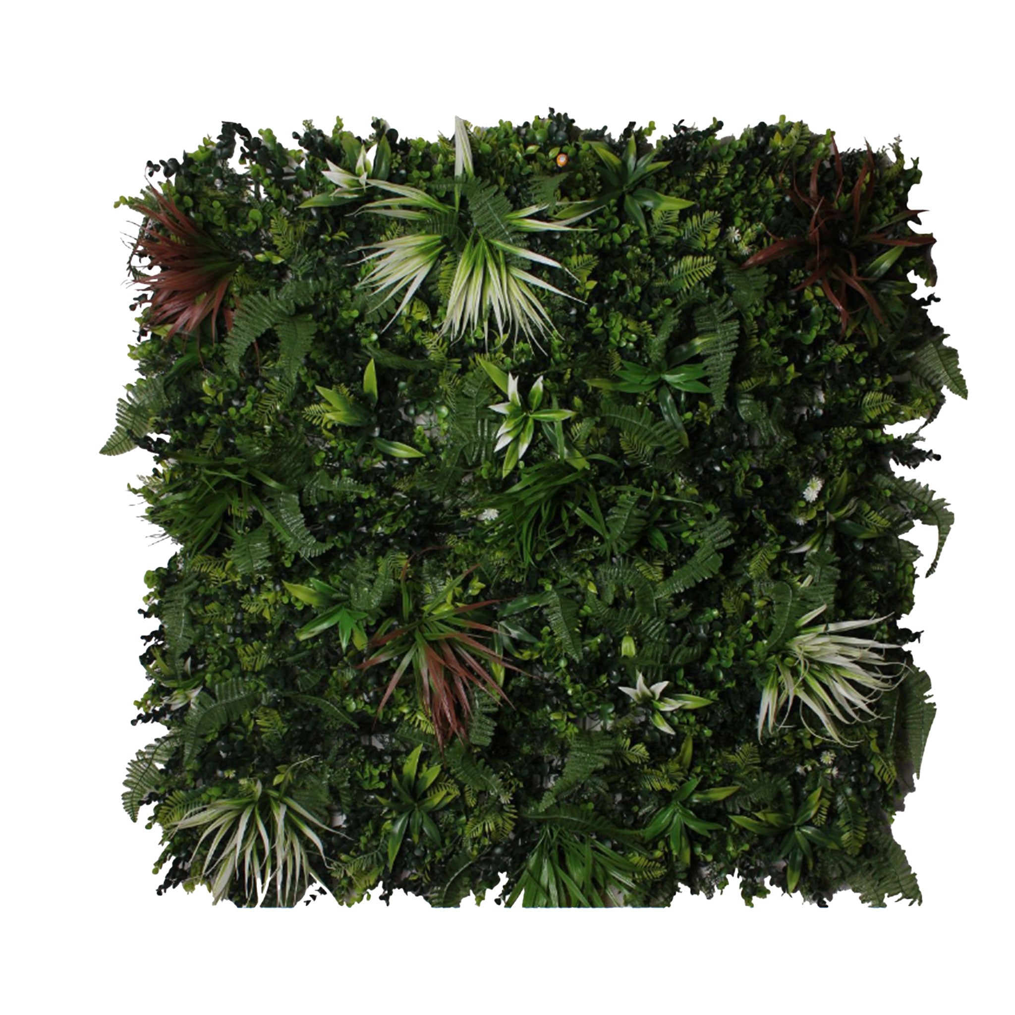 Jardim Vertical TROPICAL 100x100 cm