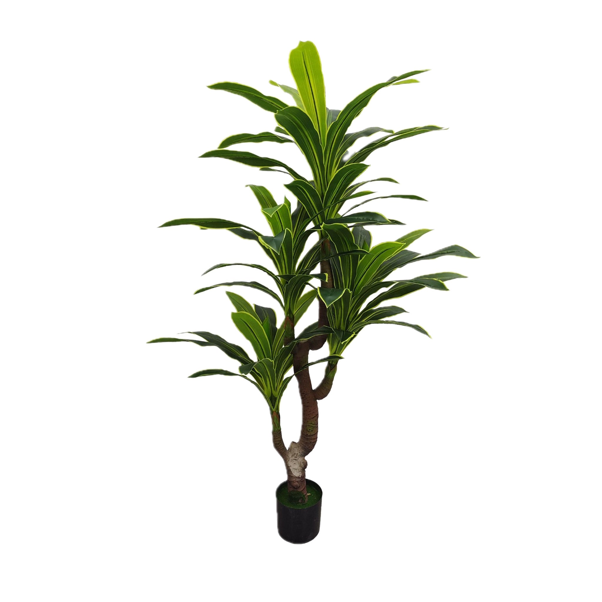 Planta Brasileira 170 cm