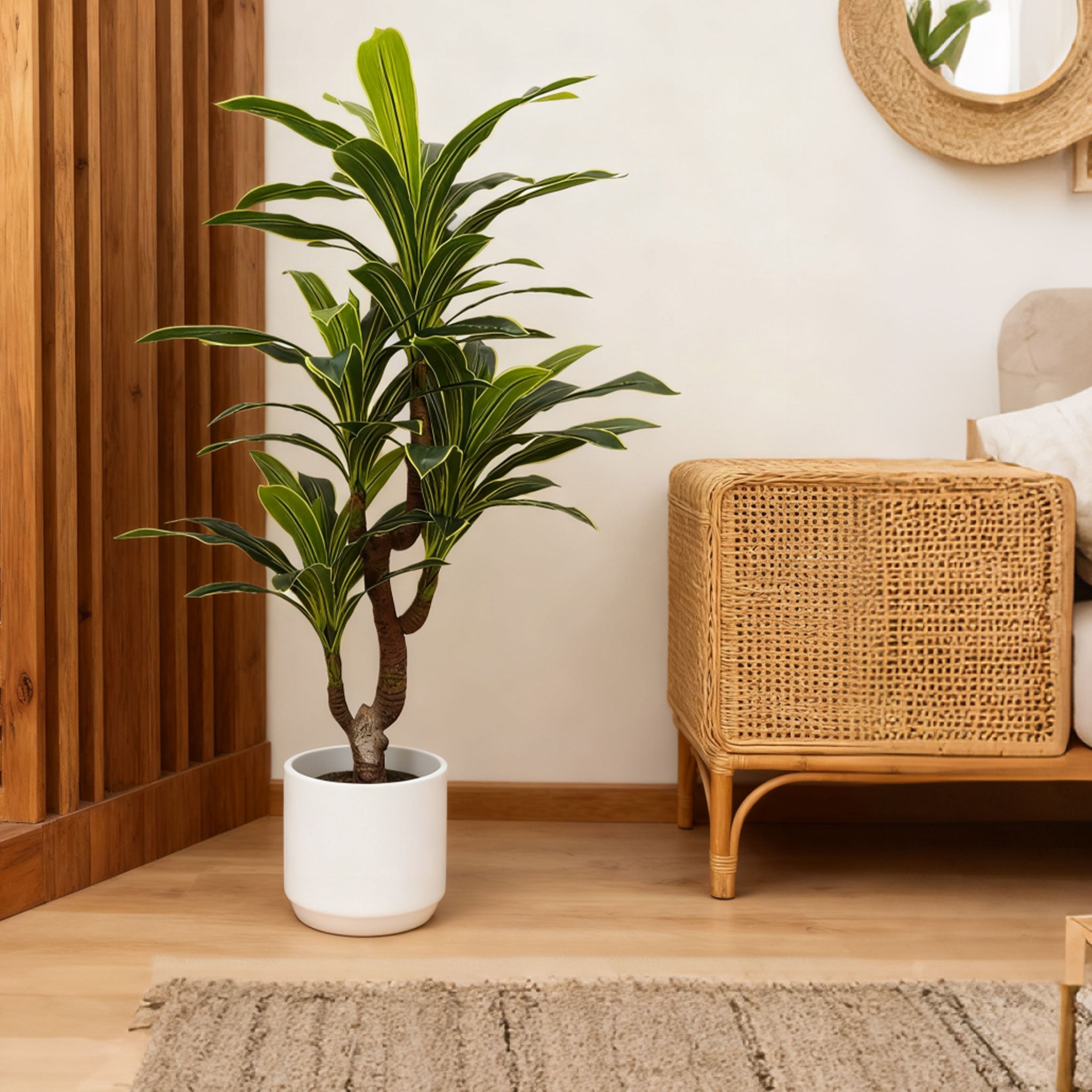 Planta Brasileira 170 cm