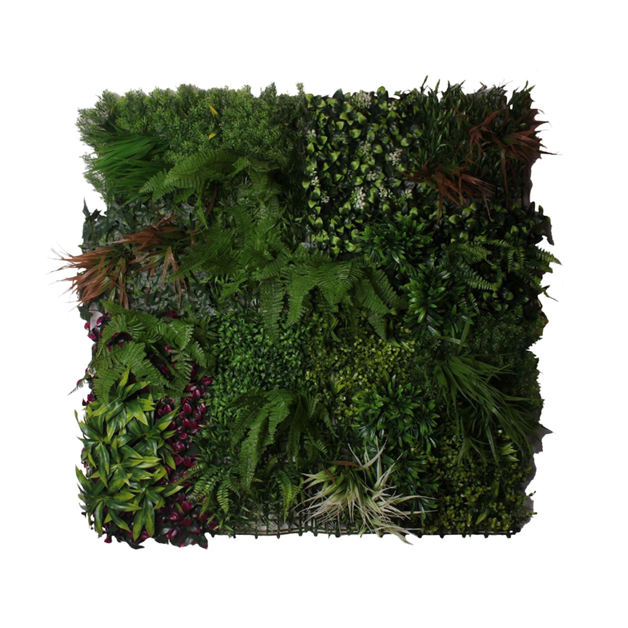 Jardim Vertical NATURE 100x100 cm