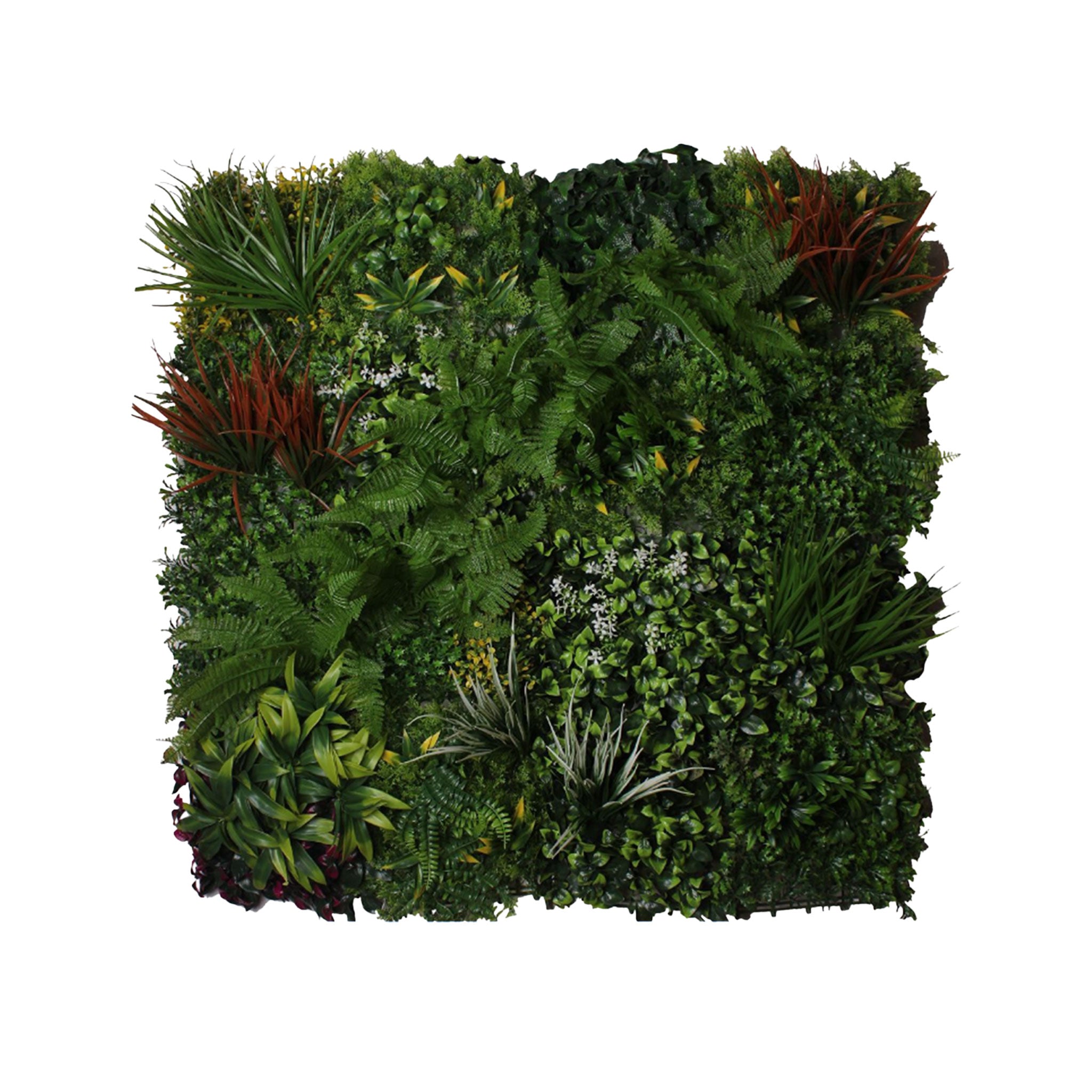 Jardim Vertical NATURE C 100x100 cm