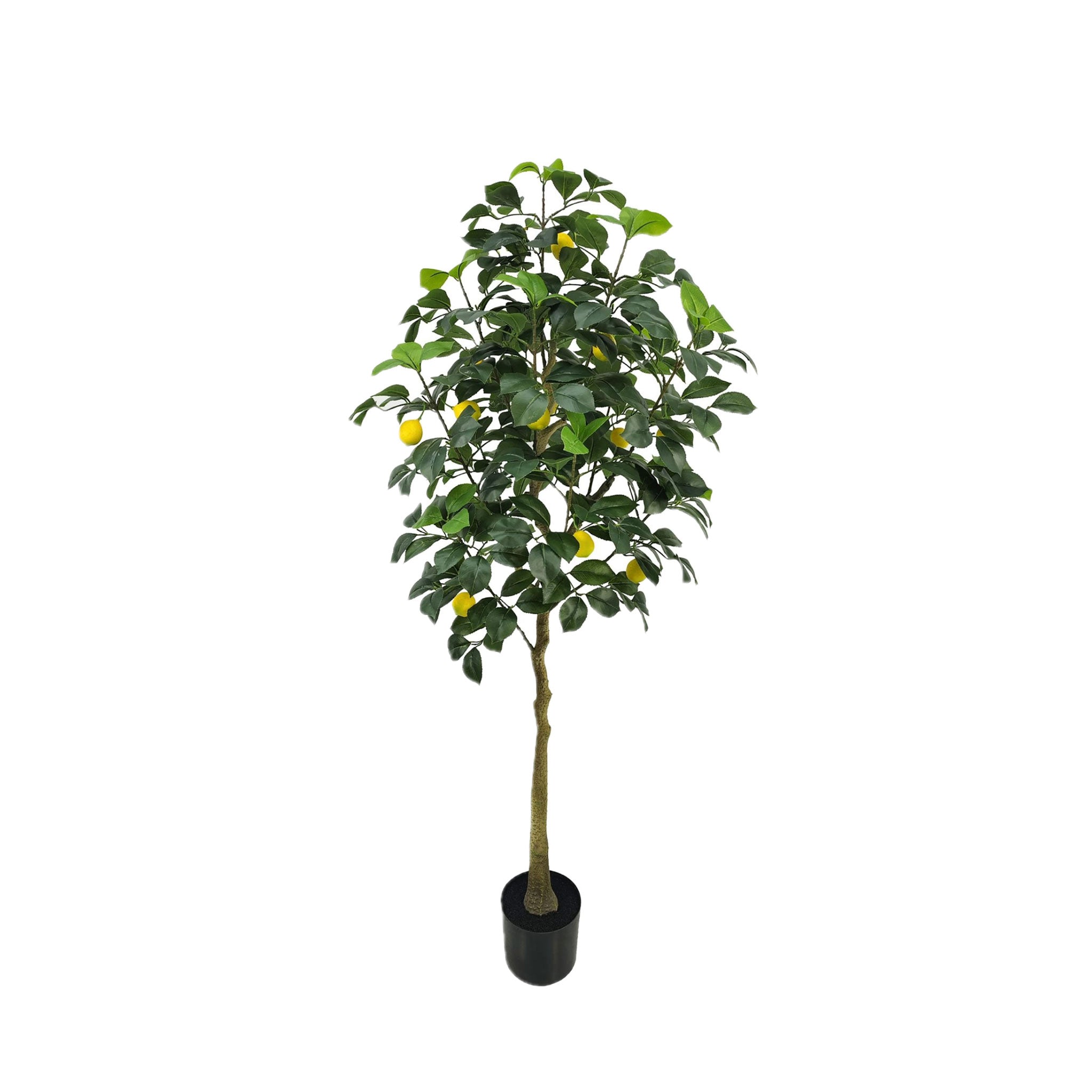 Limoeira Artificial 150 cm