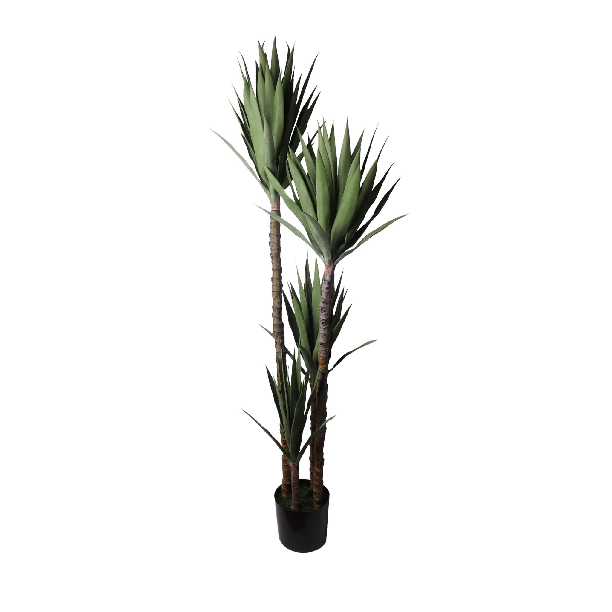 Agave Artificial 165 cm