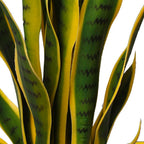 Sansevieria Artificial 70 cm