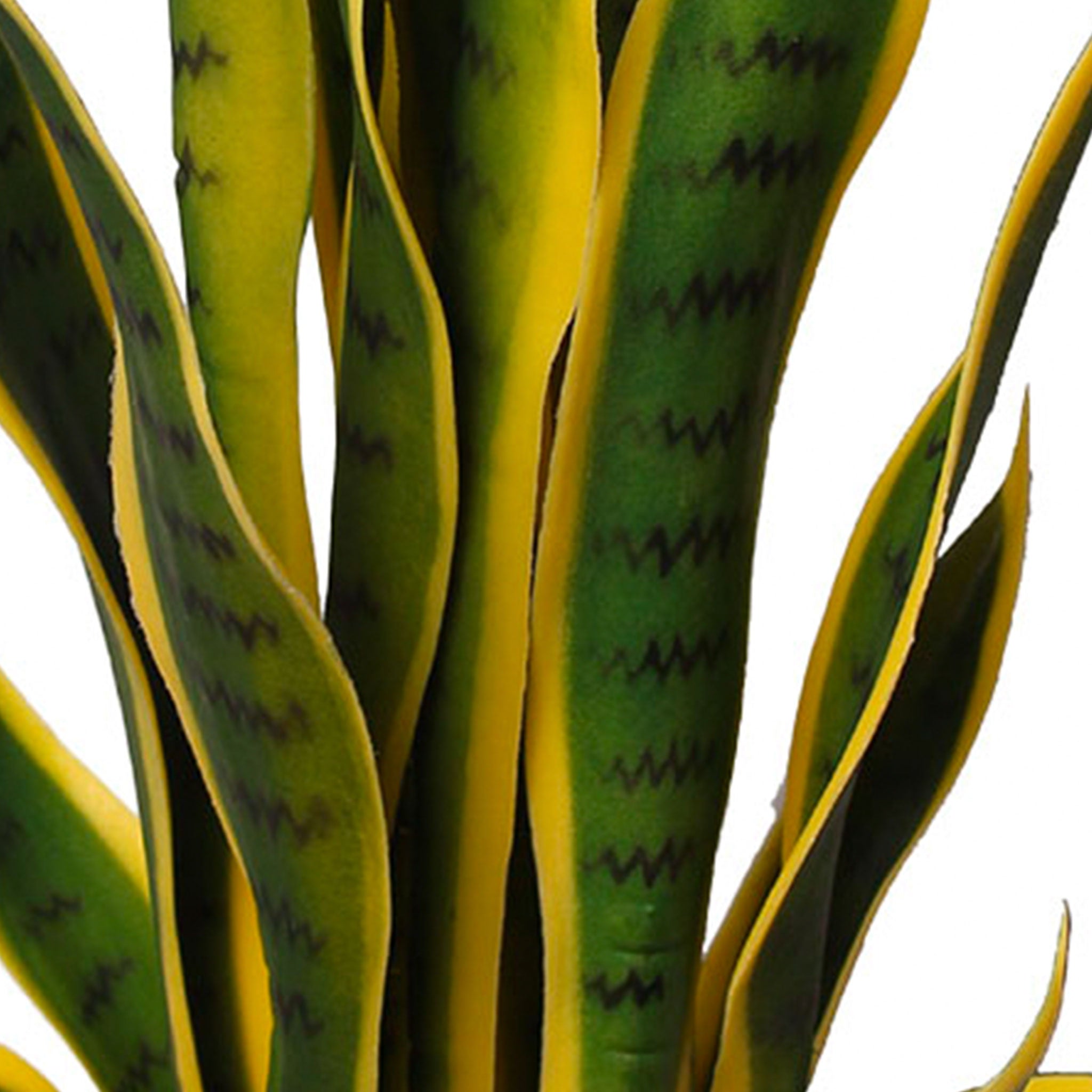 Sansevieria Artificial 50 cm