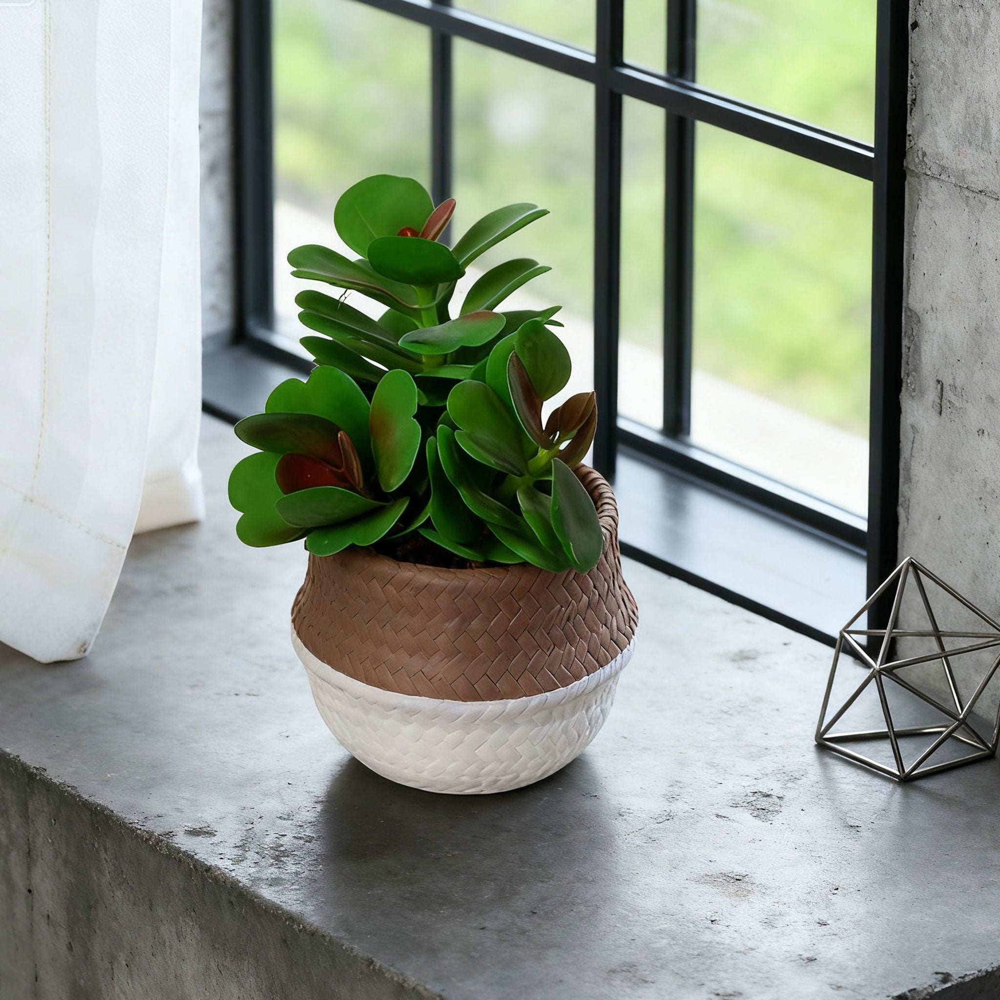 Vaso decorativa 14 cm