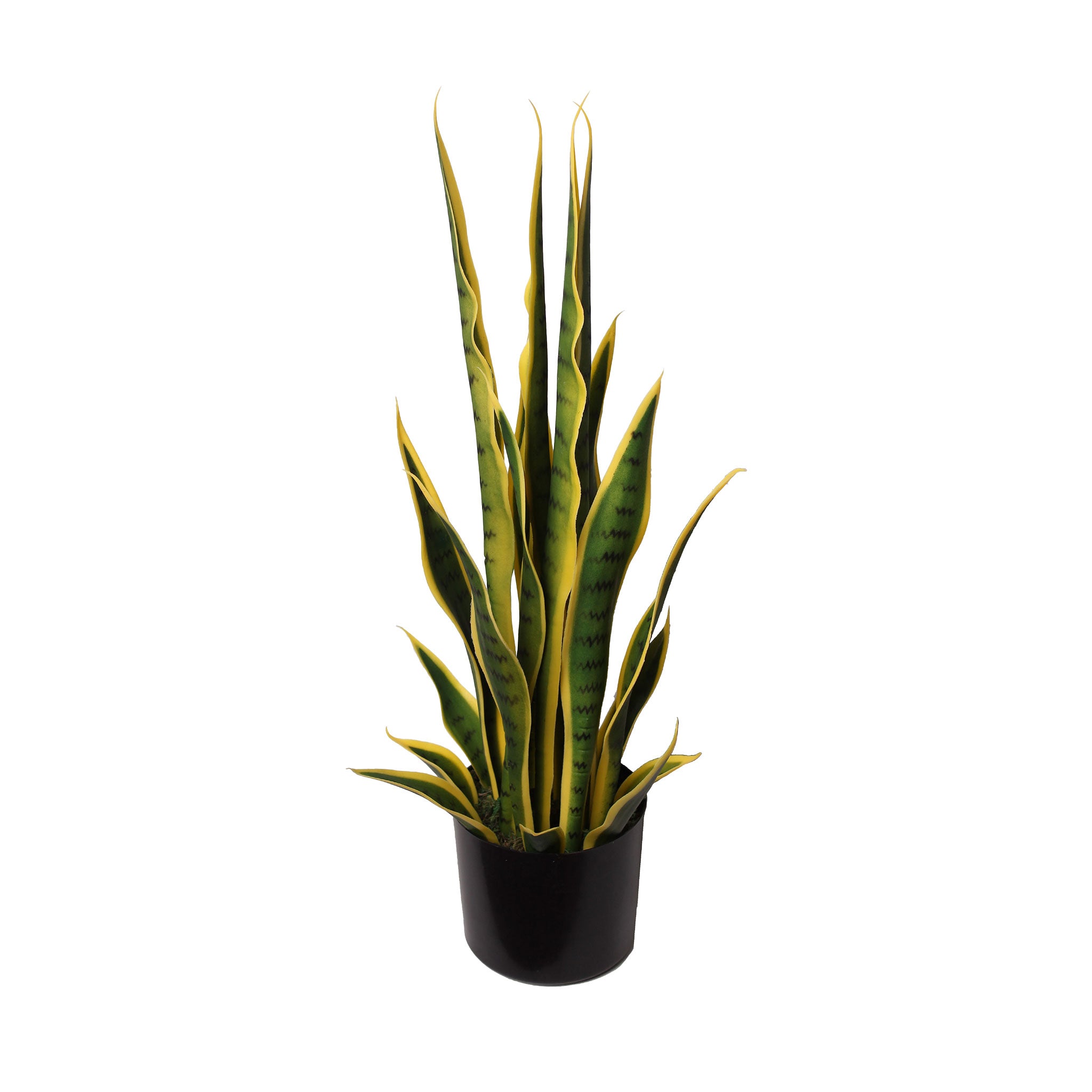 Sansevieria Artificial 50 cm