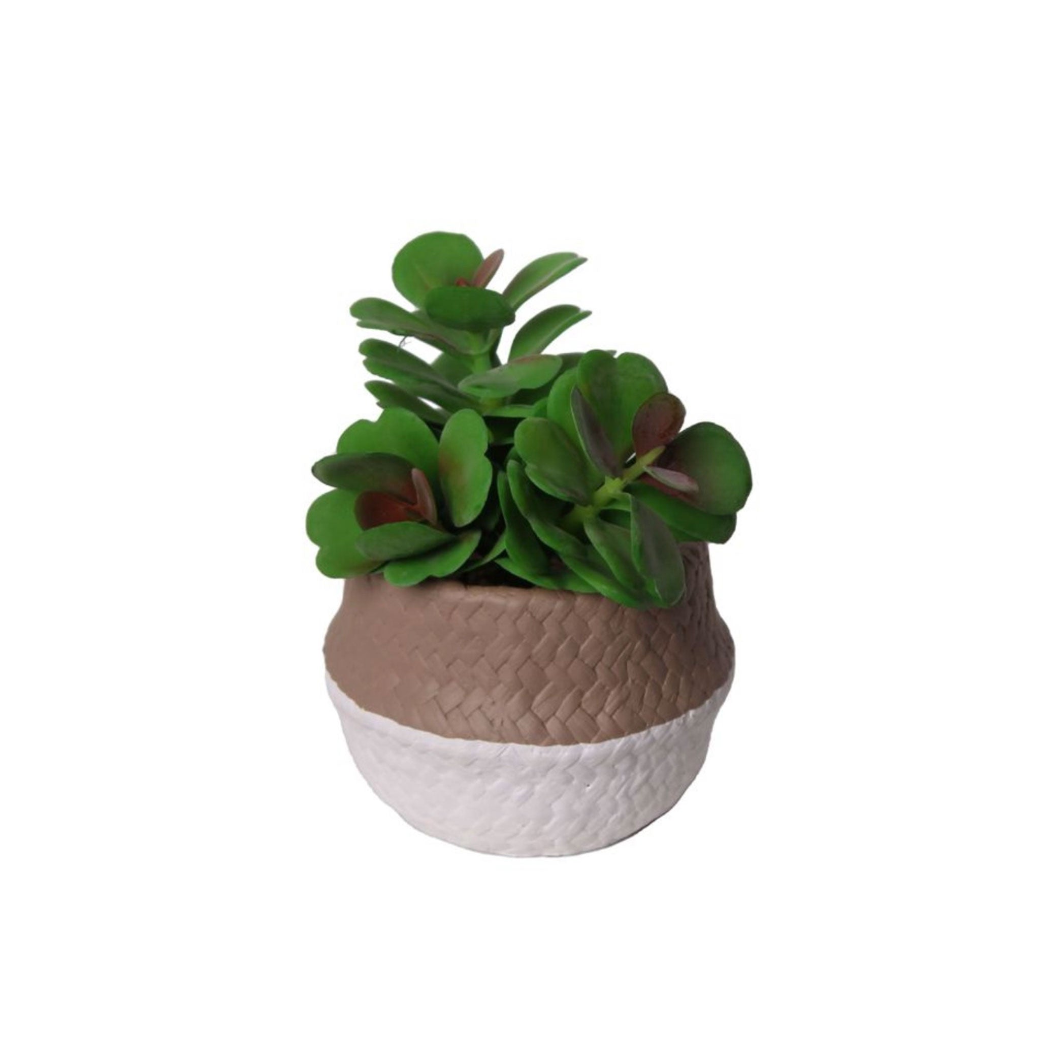 Vaso decorativa 14 cm